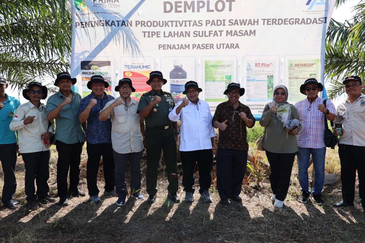 Kunjungan Kepala Dinas Pertanian PPU Andi Taraso di Demplot Desa Rawa Mulia